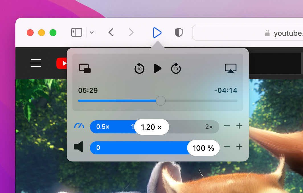 safari speed up video extension