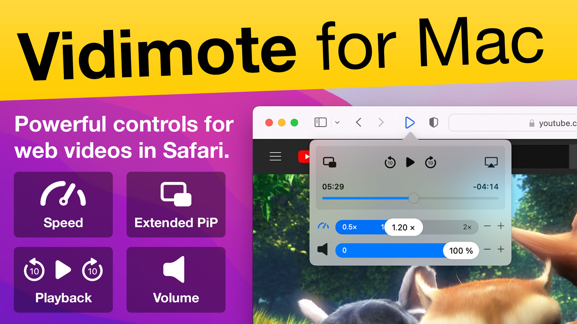 safari speed up video extension